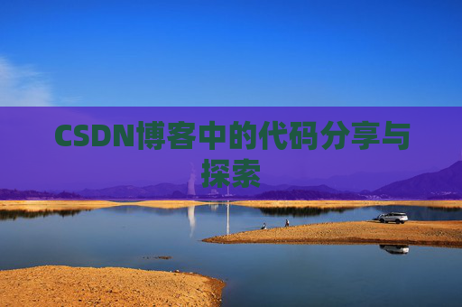CSDN博客中的代码分享与探索