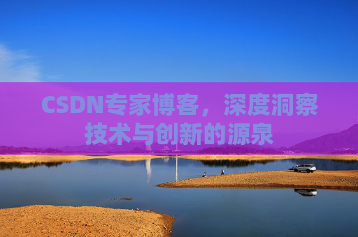 CSDN专家博客，深度洞察技术与创新的源泉